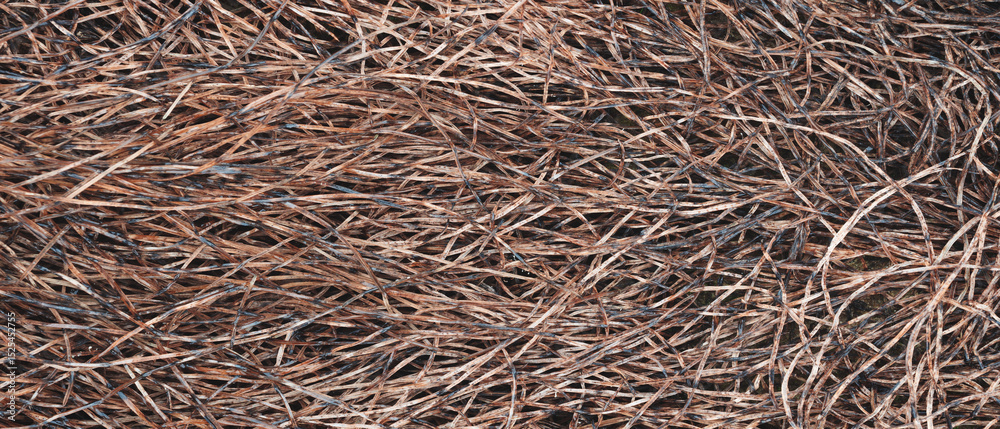 Aufkleber autumn grass lies on the ground as a textured wide background for web banner template page design.