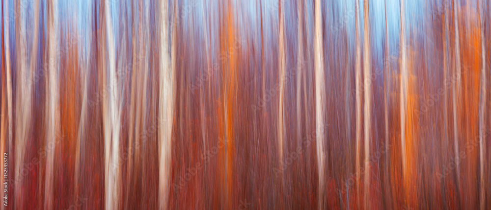 Aufkleber Abstract art autumn background with red blurred trees using camera movement for web banner template page design