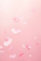Pink rose petals. Blurred pink cherry blossom background. Related to nature, beauty, tranquility, and seasonal transitions.