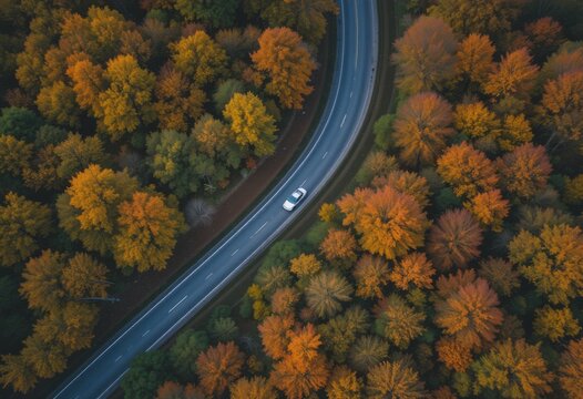 Vista a&eacute;rea de coloridos &aacute;rboles oto&ntilde;ales que rodean una sinuosa carretera asfaltada con un solo autom&oacute;vil blanco circulando