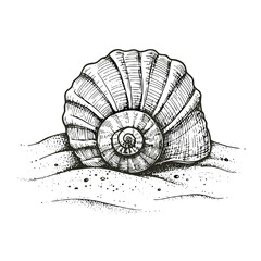 Hand-drawn seashell on sandy beach for coastal and marine-themed illustrations