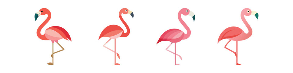 Flamingo Flat Illustration Simple Tropical Bird Vector in Flat Style