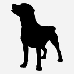 Sitting dog looking forward silhouette vector icon