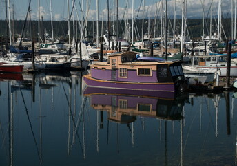 Purple boathouse docked in the middle of Boat Haven