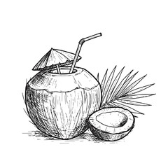 Hand-drawn coconut drink with straw and umbrella for tropical cocktail illustration