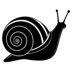  snail-with-colorful-shell-illustration-on-white