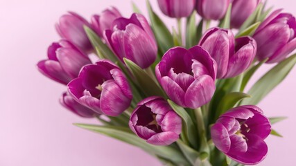 Beautiful bouquet of vibrant purple tulips with lush green leaves against a soft pastel background