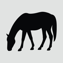 Silhouette Horse grazes in Black Illustration Vector