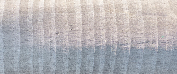 Close up of palm tree trunk with striped, gray bark texture. Organic, rough surface showcasing