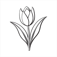 Obraz premium tulip flower minimalist silhouette vector