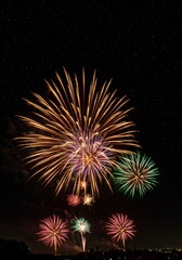Vibrant Fireworks Display at Night Under Starry Sky