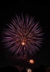 Obraz premium Purple Pink Fireworks Display at Night