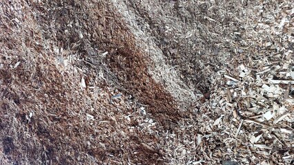 Biofuel Production Utilizing Wood Chips for Sustainable Energy in Industrial Settings