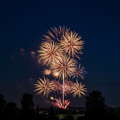Vibrant Fireworks Display at Night