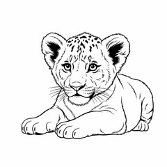 vector illustration of a tiger