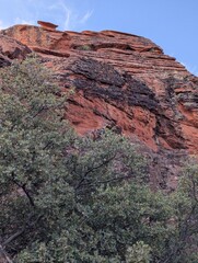 Red rock canyon and trees
