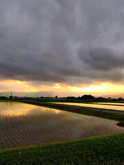 Flooded Rice Fields in Sunset lights Photo