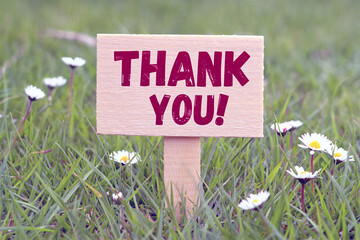 Thank You Message on Wooden Sign in Green Grass with Daisy Flower