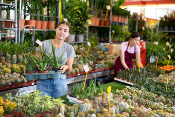 Interested young girl choosing ornamental plants in garden store, looking at potted aloes with thick, fleshy greenish leaves