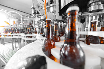 Automated beer bottling process in modern brewery with machinery