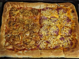 Two flavored baked pizza. salami and chicken