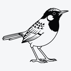 Fototapeta premium Antbird line art White background illustration Generative Ai.