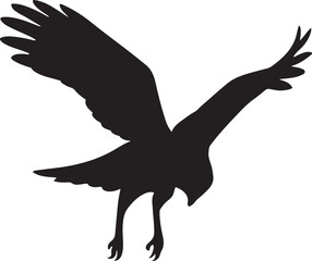 Bird of prey flying silhouette powerful wings, Raptor in motion black and white vector