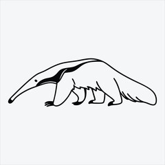 Fototapeta premium Anteater line art White background illustration Generative Ai.