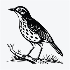 Obraz premium Antpitta line art White background illustration Generative Ai.