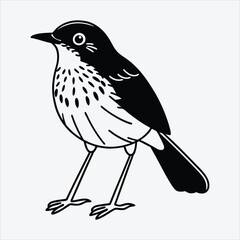 Fototapeta premium Antpitta line art White background illustration Generative Ai.