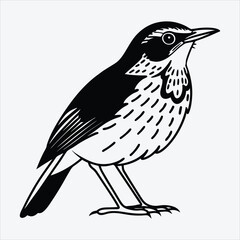 Obraz premium Antpitta line art White background illustration Generative Ai.