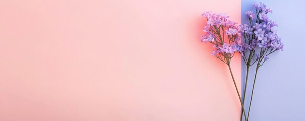 match gradient Delicate flowers against a pastel background, creating a soft and serene aesthetic.