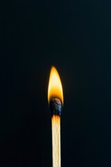 match gradient A glowing matchstick against a dark background, highlighting the flame and its intricate details.