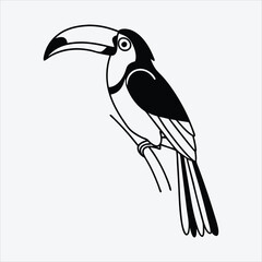 Aracari line art White background illustration Generative Ai.