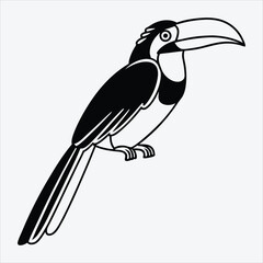 Aracari line art White background illustration Generative Ai.