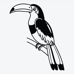Aracari line art White background illustration Generative Ai.