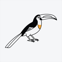 Aracari line art White background illustration Generative Ai.