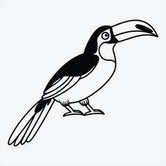 Aracari line art White background illustration Generative Ai.