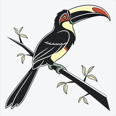 Aracari line art White background illustration Generative Ai.