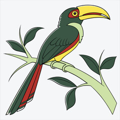 Aracari line art White background illustration Generative Ai.