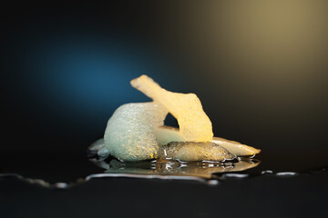 Ice melting. Pieces of melting ice on a dark background. Colored backlight. Selective focus