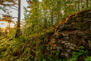 Spring sunset view for forest on hill Svatobor in south west Bohemia
