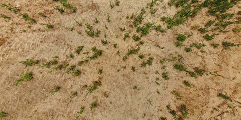 top view of gravel road surface and grass shoulder