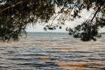 Landscape of the famous beach of Lake Biscarrosse - Parentis in the southwest of France.