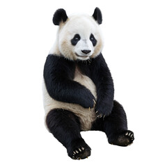Fototapeta premium panda bear isolated on transparent background