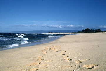 Hawaiian Beach