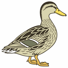 "Duck Standing &ndash; Farm or Wildlife Bird Vector"

