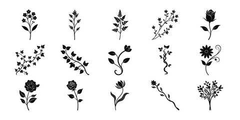 Hand drawn wedding herb, minimalistic flowers with elegant leaves. Hand-Drawn Trendy Floral & Leafy Elements