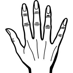 hand in the form of a hand