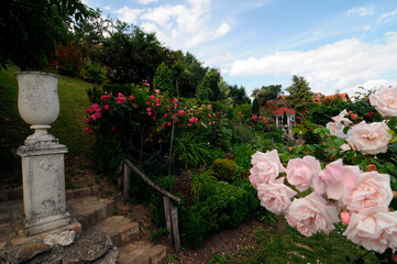 gardening and design of a garden